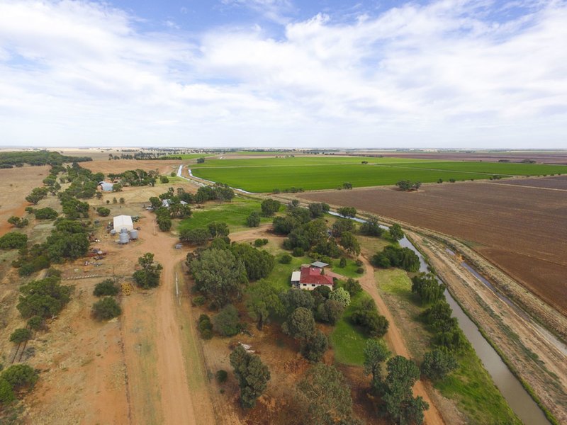 Photo - Farm 30D Lovell & Dossetor Rds , Benerembah NSW 2680 - Image 3