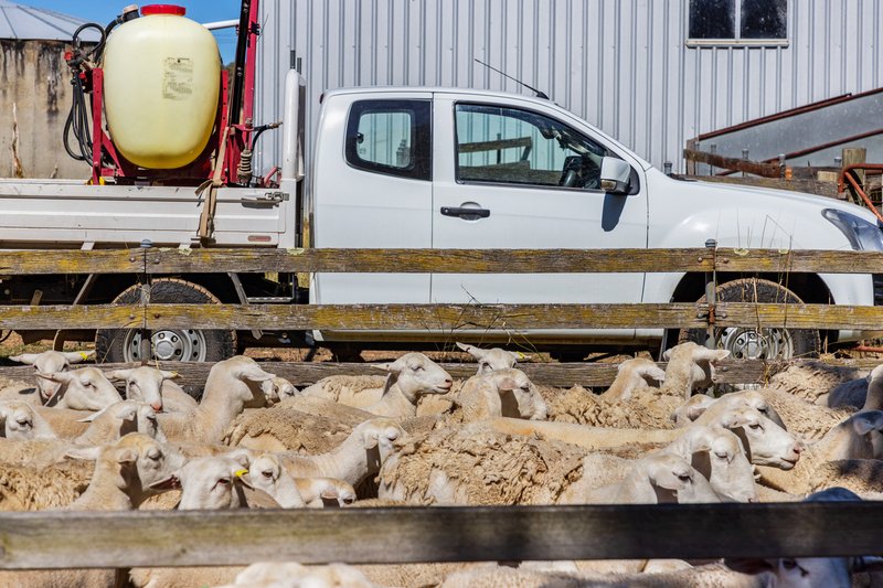 Photo - 'Ferndale' 192 Rock Lodge Road, Gunning NSW 2581 - Image 14