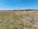 Photo - 'Ferndale' 192 Rock Lodge Road, Gunning NSW 2581 - Image 25