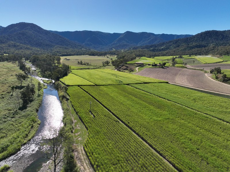 Photo - Finch Hatton QLD 4756 - Image 3