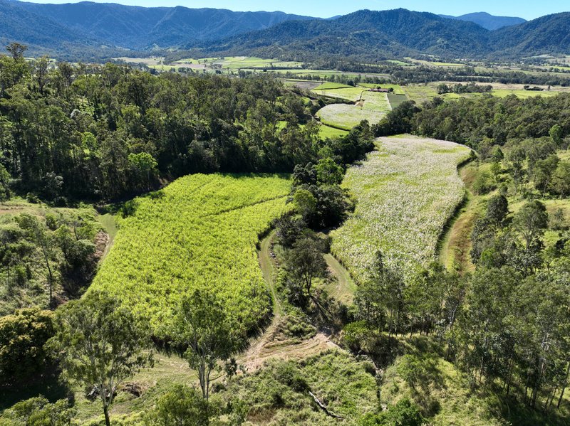 Photo - Finch Hatton QLD 4756 - Image 7