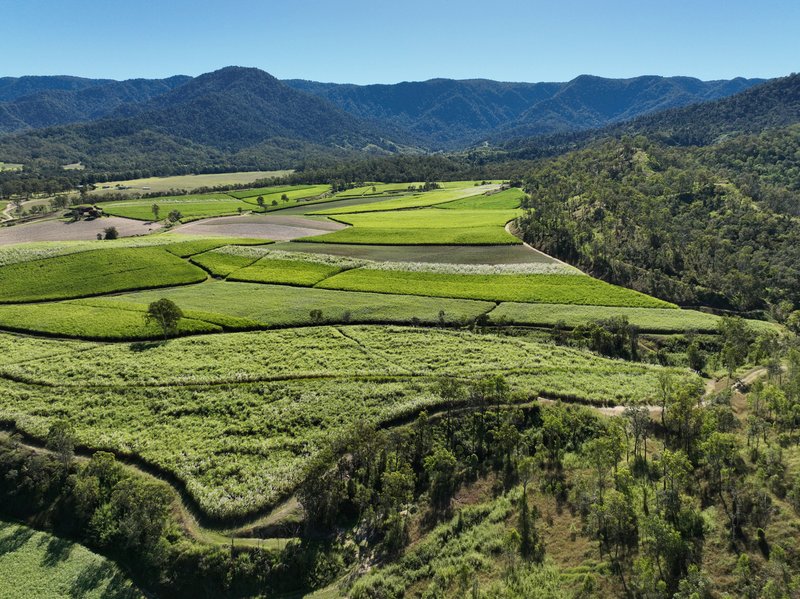 Photo - Finch Hatton QLD 4756 - Image 14