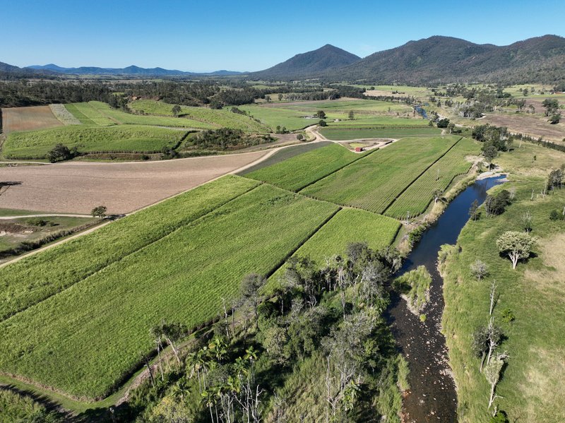 Photo - Finch Hatton QLD 4756 - Image 25