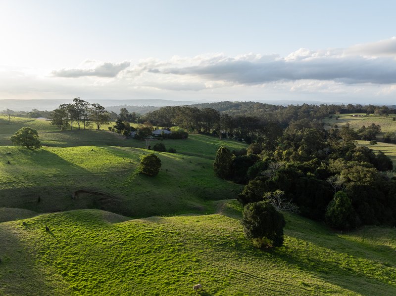 Photo - "Firewheel" 54 Spencer Road, Ravensbourne QLD 4352 - Image 6