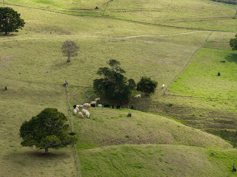 Photo - "Firewheel" 54 Spencer Road, Ravensbourne QLD 4352 - Image 30