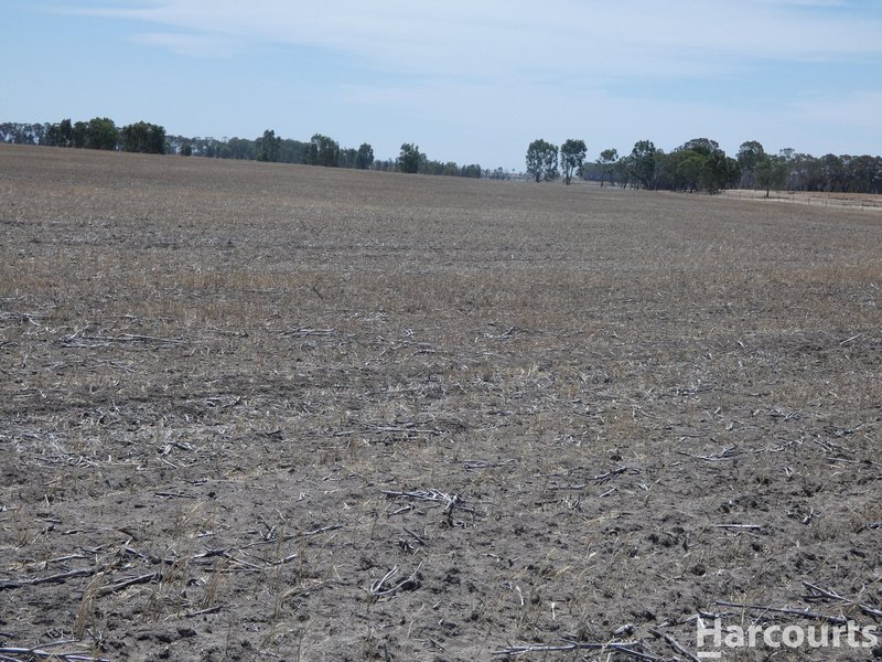 Photo - . Fischers Road, St Helens Plains VIC 3401 - Image 5