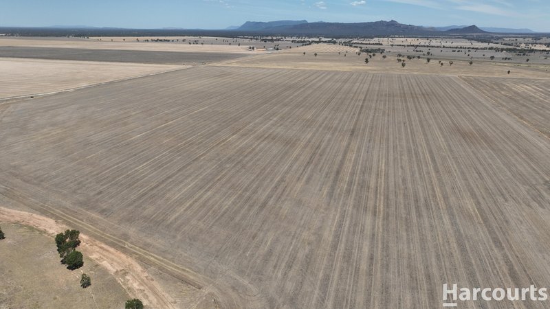 Photo - . Fischers Road, St Helens Plains VIC 3401 - Image 8