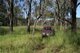 Photo - Flagstone Creek QLD 4344 - Image 3