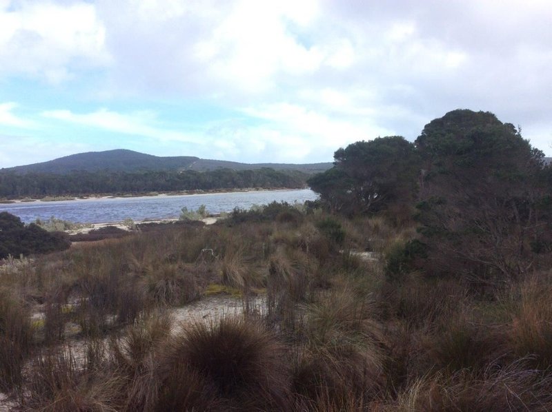 Photo - Flinders Island TAS 7255 - Image 6