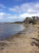 Photo - Flinders Island TAS 7255 - Image 9