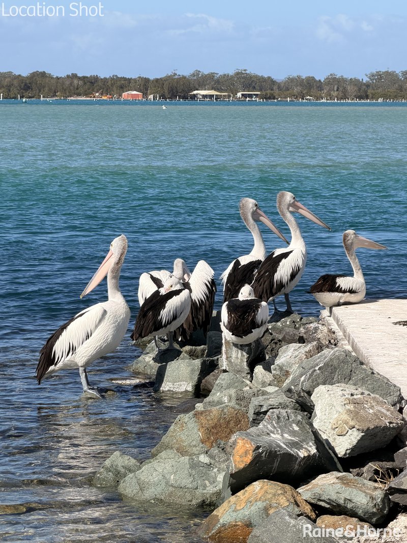 Photo - Forster NSW 2428 - Image 10