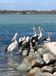 Photo - Forster NSW 2428 - Image 10