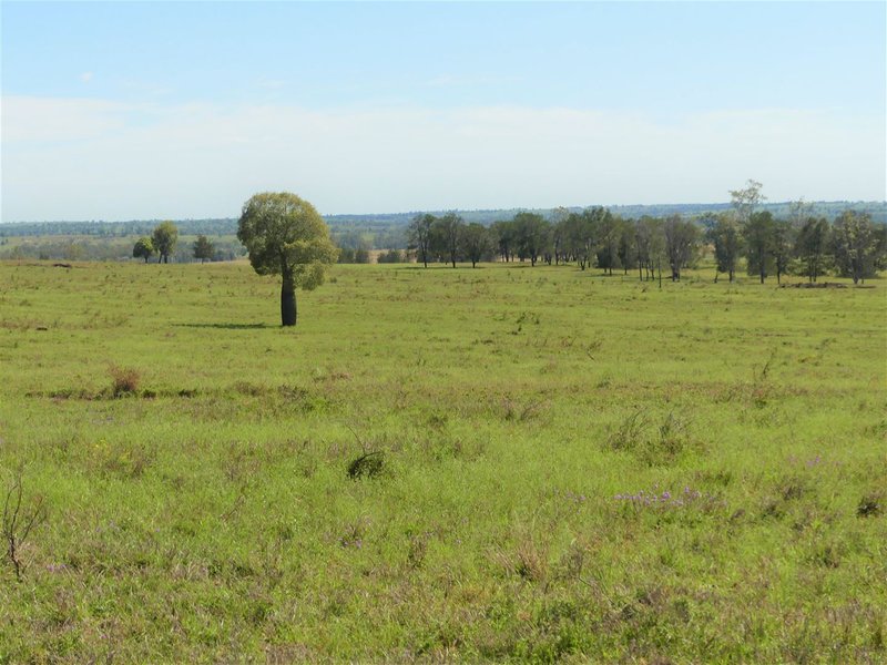 'Forty Nine' Ashneys Road, Roma QLD 4455