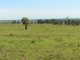 Photo - 'Forty Nine' Ashneys Road, Roma QLD 4455 - Image 1