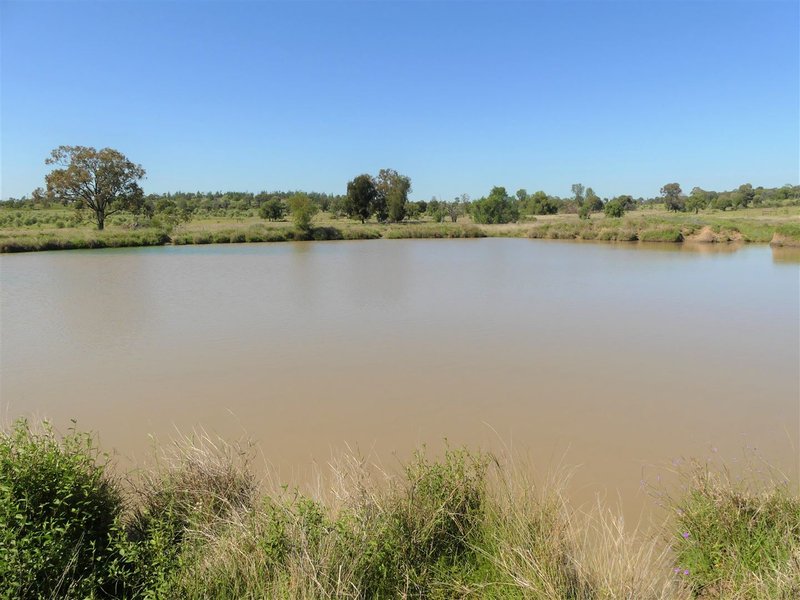 Photo - 'Forty Nine' Ashneys Road, Roma QLD 4455 - Image 6