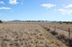 Photo - 'Fourwinds' 815 Duri-Wallamore Road, Tamworth NSW 2340 - Image 16