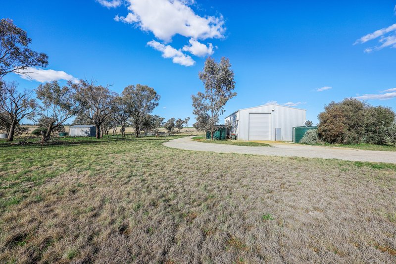 Photo - 'Fourwinds' 815 Duri-Wallamore Road, Tamworth NSW 2340 - Image 17