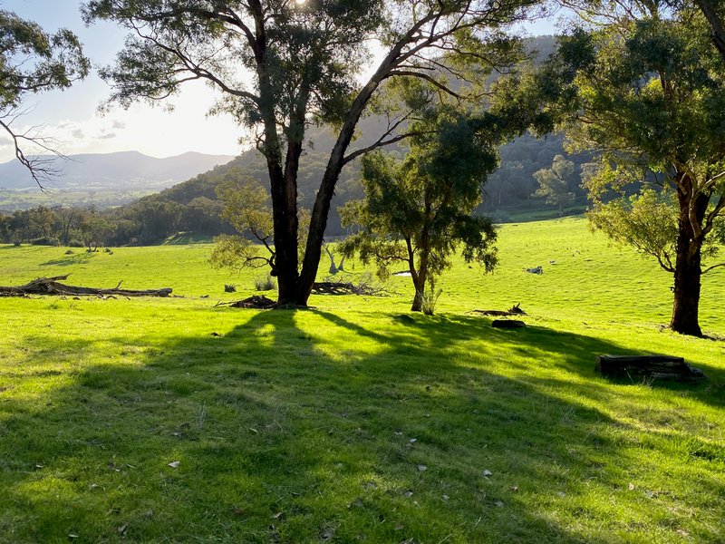 Photo - . Gap Flat Road, Allans Flat VIC 3691 - Image 1