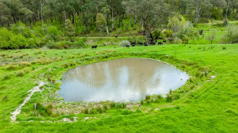 Photo - . Gap Flat Road, Allans Flat VIC 3691 - Image 11