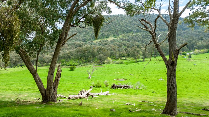 Photo - . Gap Flat Road, Allans Flat VIC 3691 - Image 12