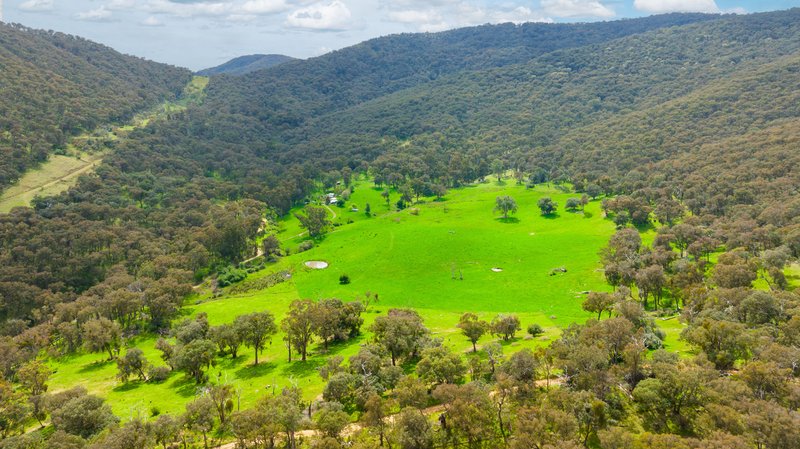 Photo - . Gap Flat Road, Allans Flat VIC 3691 - Image 14