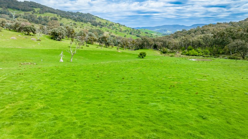 Photo - . Gap Flat Road, Allans Flat VIC 3691 - Image 15