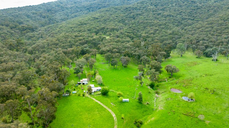 Photo - . Gap Flat Road, Allans Flat VIC 3691 - Image 17