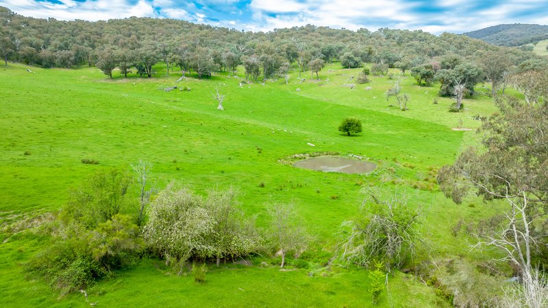 Photo - . Gap Flat Road, Allans Flat VIC 3691 - Image 18