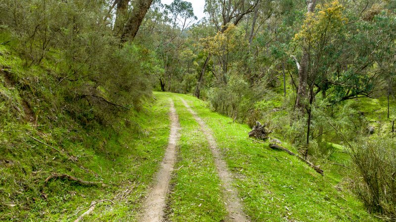 Photo - . Gap Flat Road, Allans Flat VIC 3691 - Image 21