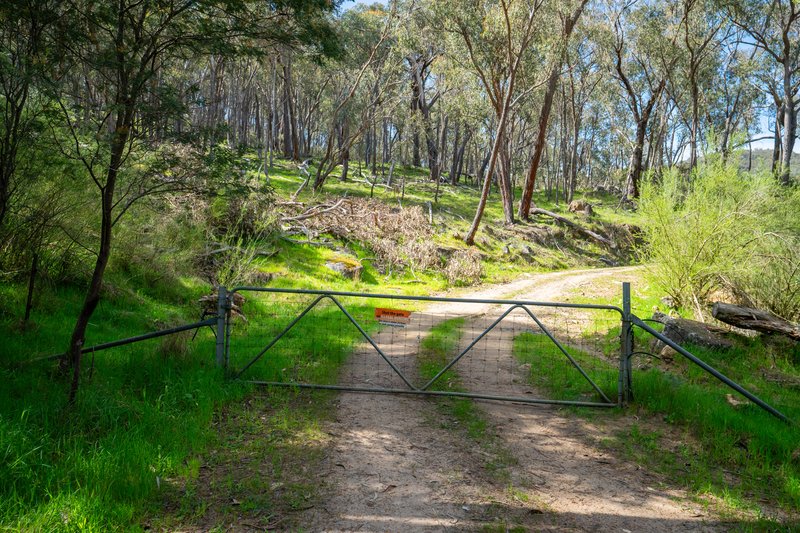 Photo - . Gap Flat Road, Allans Flat VIC 3691 - Image 29