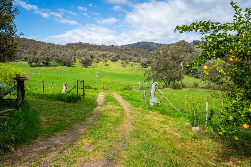 Photo - . Gap Flat Road, Allans Flat VIC 3691 - Image 30