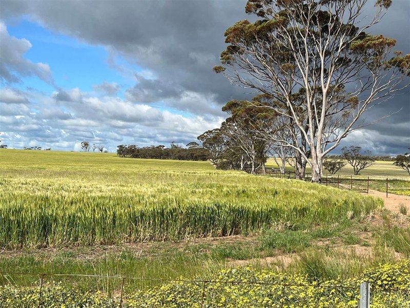 Photo - . 'Gardens' Part , Shackleton WA 6386 - Image 2