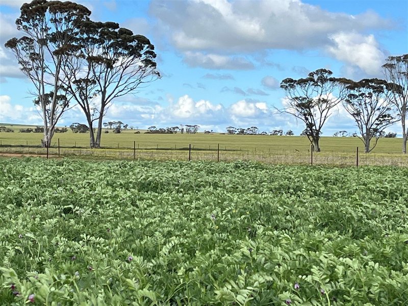 Photo - . 'Gardens' , Shackleton WA 6386 - Image 11