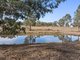 Photo - "Garrit" 27 Garryowen Road, Binalong NSW 2584 - Image 21