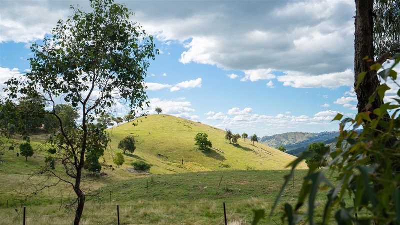 Photo - . Georges Creek Road, Talgarno VIC 3691 - Image 9