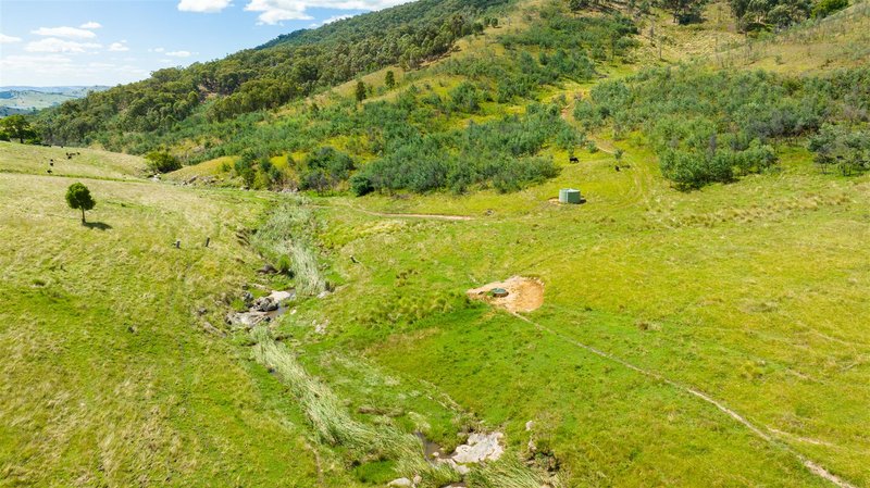 Photo - . Georges Creek Road, Talgarno VIC 3691 - Image 15