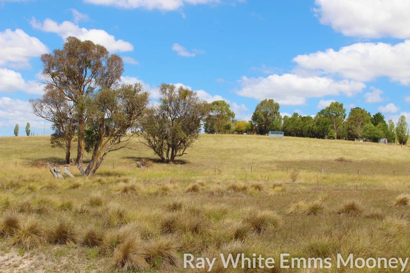 Photo - Georges Plains NSW 2795 - Image 14