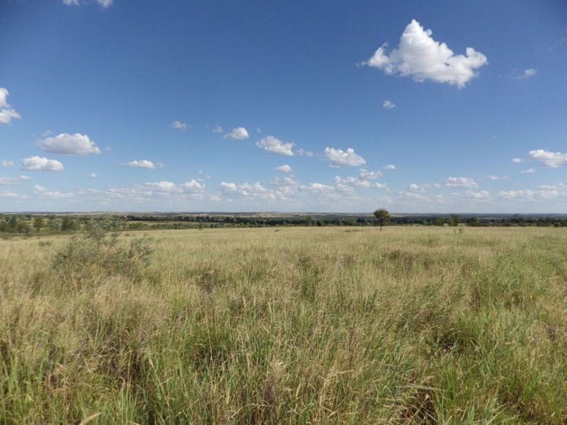 Photo - 'Glen Hill Caranarvon Highway, Injune QLD 4454 - Image 4