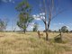 Photo - 'Glen Hill Caranarvon Highway, Injune QLD 4454 - Image 5