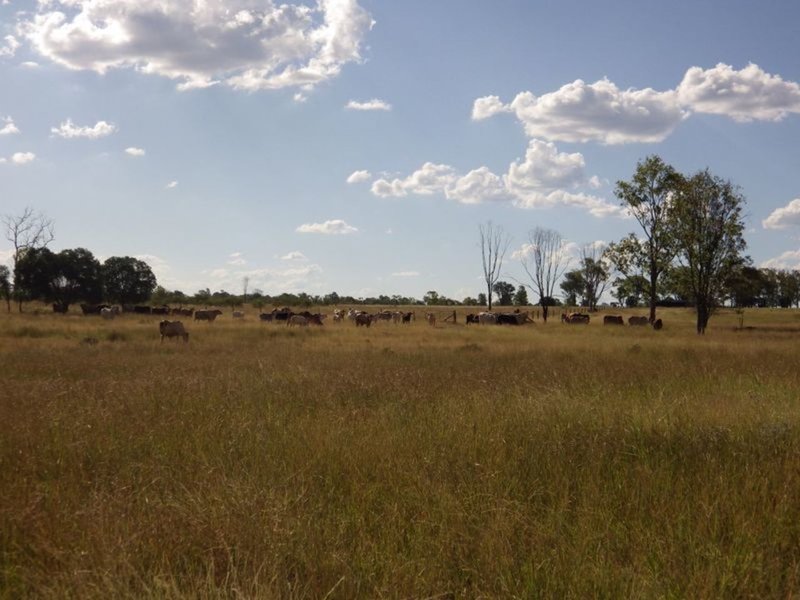 Photo - 'Glen Hill Caranarvon Highway, Injune QLD 4454 - Image 7