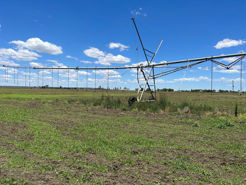 Photo - "Glen Shee"/0 Mckenzie Road, Oakey QLD 4401 - Image 7