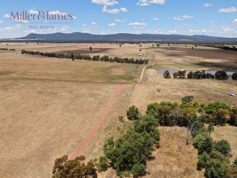 'Glencoe', 529 Napiers Road, Piney Range NSW 2810