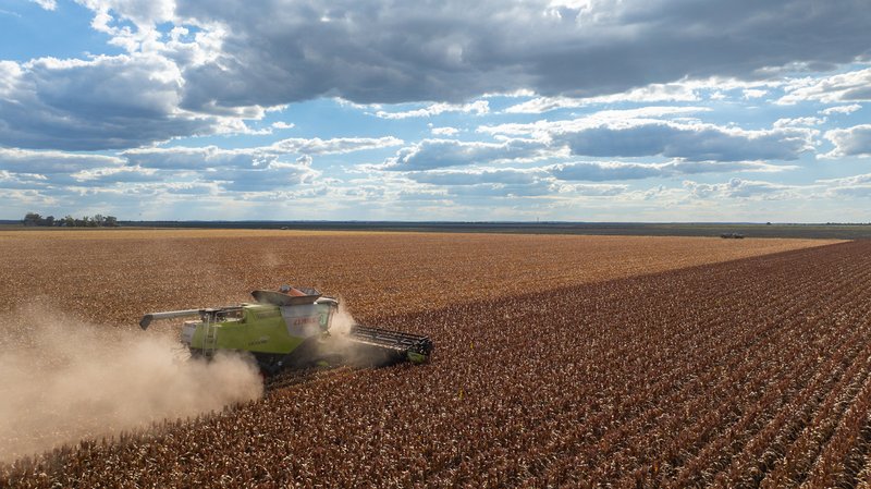 Photo - "Glengarry" 1947 Pampas - Horrane Road, Condamine Plains QLD 4352 - Image 3