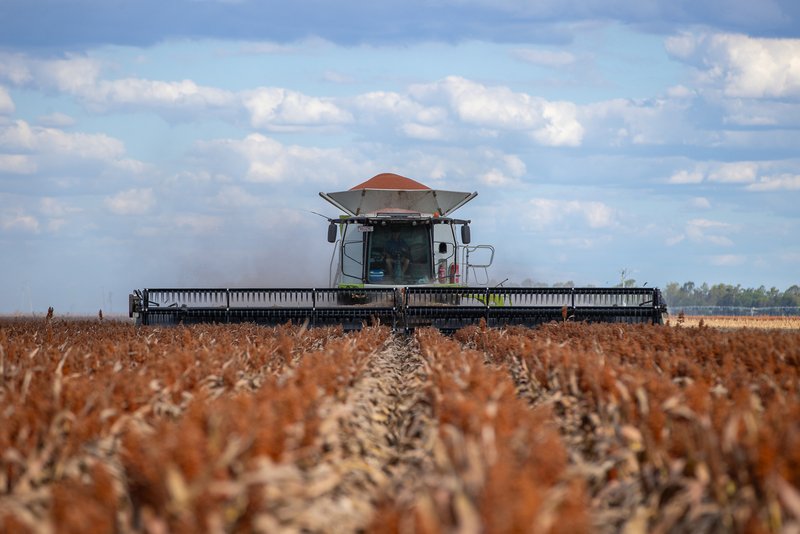 Photo - "Glengarry" 1947 Pampas - Horrane Road, Condamine Plains QLD 4352 - Image 5