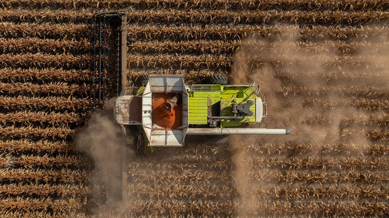 Photo - "Glengarry" 1947 Pampas - Horrane Road, Condamine Plains QLD 4352 - Image 6