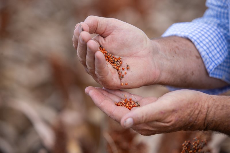 Photo - "Glengarry" 1947 Pampas - Horrane Road, Condamine Plains QLD 4352 - Image 10