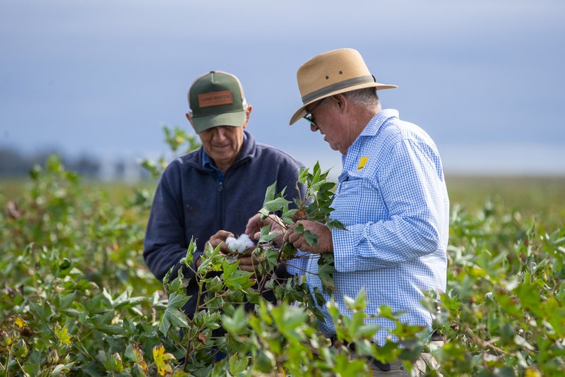 Photo - "Glengarry" 1947 Pampas - Horrane Road, Condamine Plains QLD 4352 - Image 13