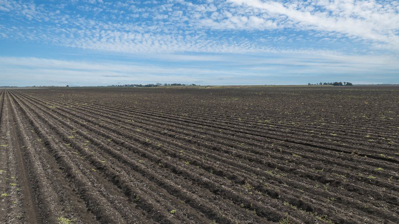 Photo - "Glengarry" 1947 Pampas - Horrane Road, Condamine Plains QLD 4352 - Image 14