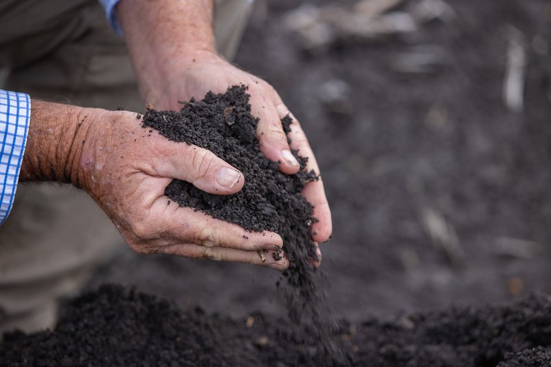 Photo - "Glengarry" 1947 Pampas - Horrane Road, Condamine Plains QLD 4352 - Image 15
