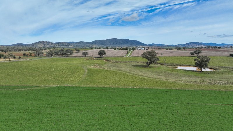 Photo - 'Glenhaven' Duri-Winton Road, Tamworth NSW 2340 - Image 16